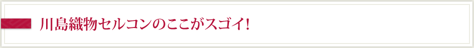 川島織物セルコンのここがスゴイ！