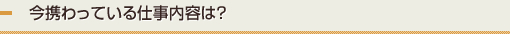 今携わっている仕事内容は？
