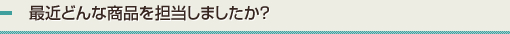 最近どんな商品を担当しましたか？