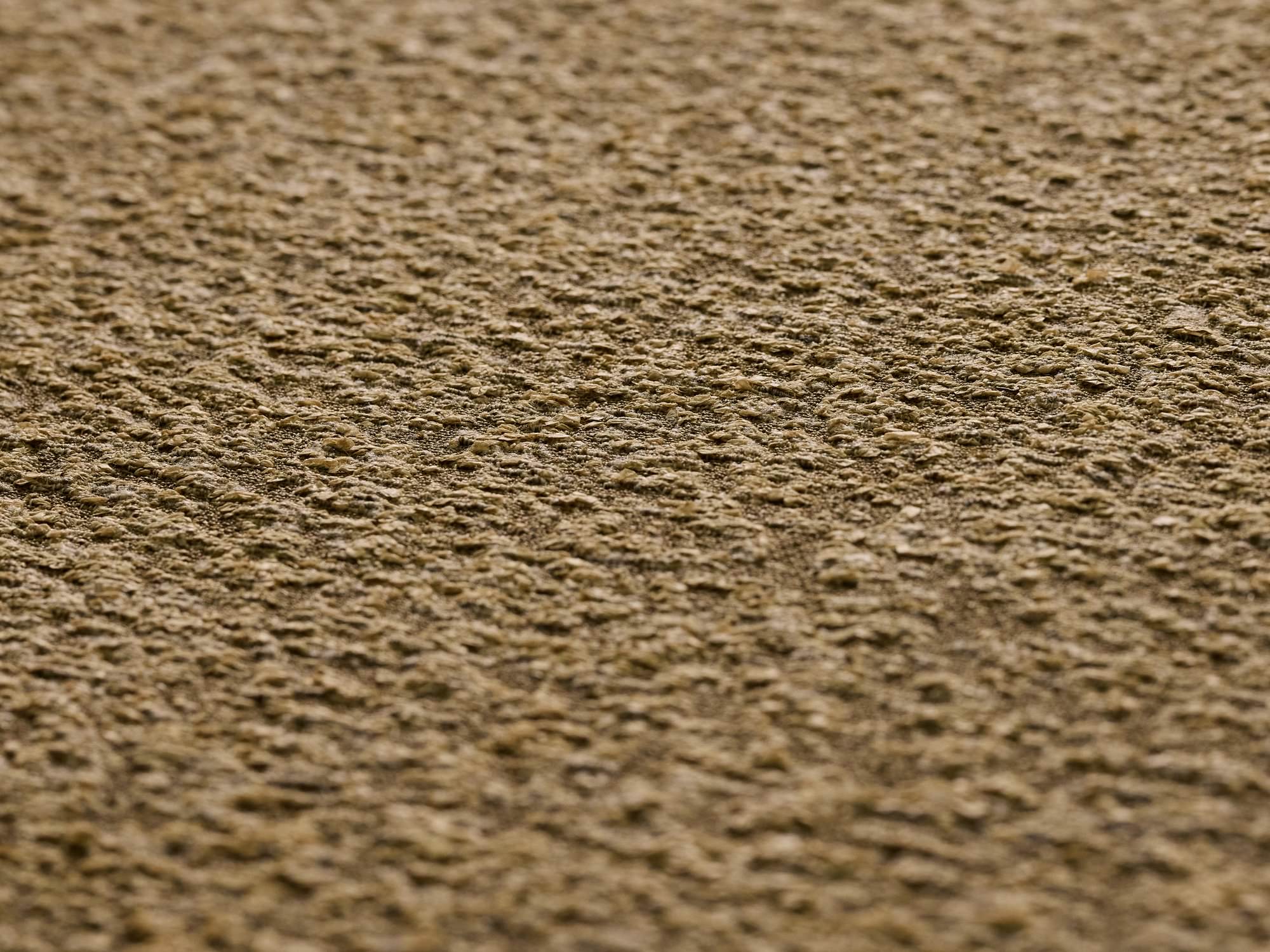 作品 Soil_1