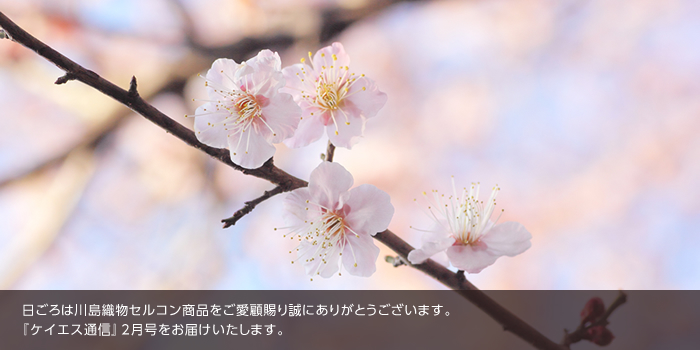日ごろは川島織物セルコン商品をご愛顧賜り誠にありがとうございます。『ケイエス通信』2月号をお届けいたします。
